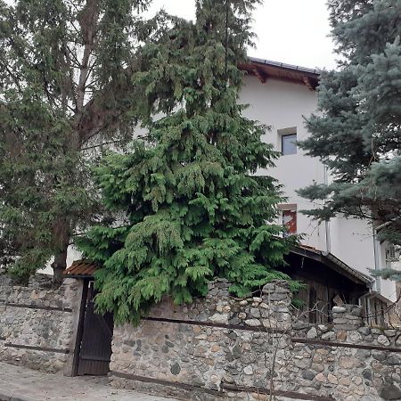 Guest House Khizhina - Easy Home Saparewa Banja Exterior foto