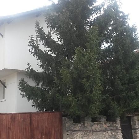 Guest House Khizhina - Easy Home Saparewa Banja Exterior foto