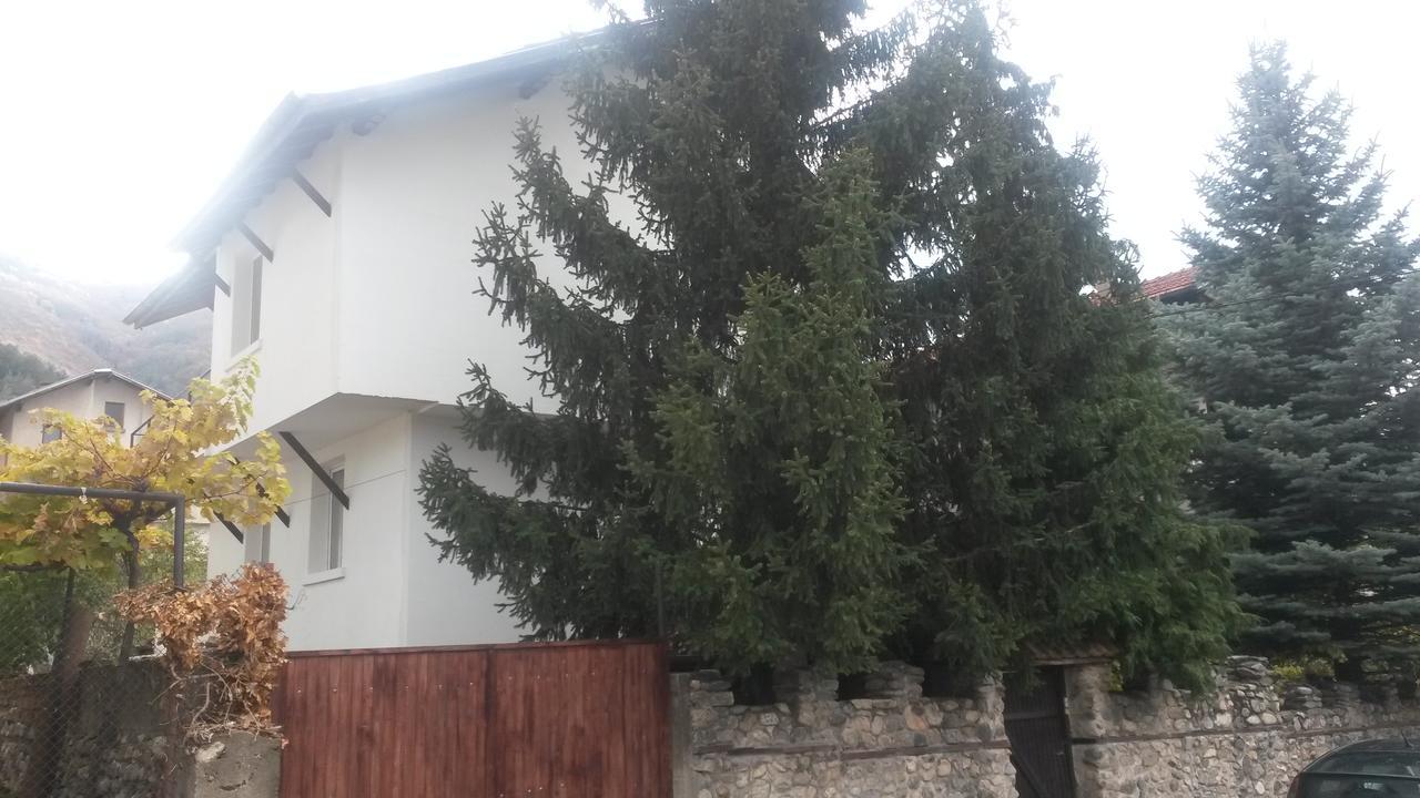 Guest House Khizhina - Easy Home Saparewa Banja Exterior foto